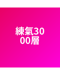 練氣3000層 代儲